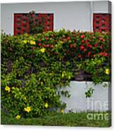 15- Garden Walk Canvas Print