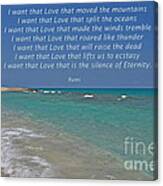 151- Rumi Canvas Print