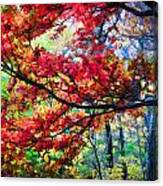 Fall Foliage Great Smoky Mountains Painted #17 Canvas Print