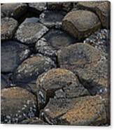 The Giants Causeway #16 Canvas Print