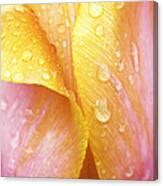 Abstract Tulip Canvas Print