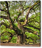 Angel Oak Tree Of Life #2 Canvas Print