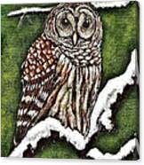 Barred Owl Canvas Print