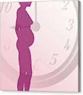 Biological Clock #2 Canvas Print