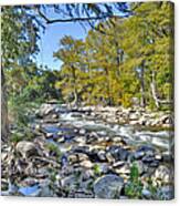 Guadalupe River #6 Canvas Print