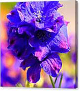 Pacific Northwest Blue Flower Canvas Print