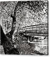 Bridge At Ellison Park #2 Canvas Print