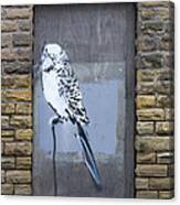 Budgie Graffiti #2 Canvas Print