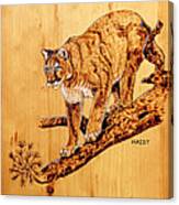 Cougar #2 Canvas Print