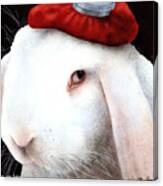 Even My Hare Hurts... Canvas Print