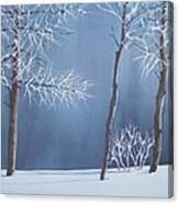 Frosted Forest Canvas Print