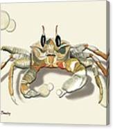 Ghost Crab #2 Canvas Print