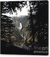 Grand Canyon Of The Yellowstone-signed Canvas Print