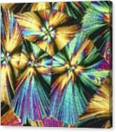 Human Growth Hormone Crystals #2 Canvas Print