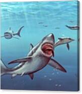 Megalodon Prehistoric Shark #2 Canvas Print