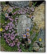 Miniature Rock Garden #2 Canvas Print