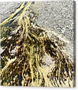 Nature's Inkblot Test - Abstract Runoff Of A Hot Spring With Algae And Bacteria. #2 Canvas Print