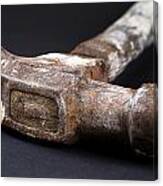 Vintage Claw Hammer Photograph by Donald Erickson - Pixels