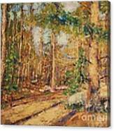 Pine Forest Canvas Print