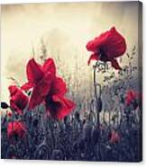 Red For Love #2 Canvas Print
