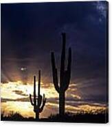 Silhouetted Saguaro Cactus Sunset At Dusk Arizona State Usa #2 Canvas Print