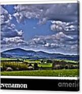 Slievenamon #2 Canvas Print