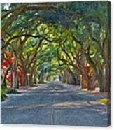 South Boundary Canvas Print