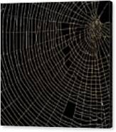 Spider's Web Covered In Water Droplets #2 Canvas Print