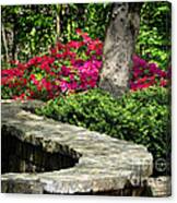 Stay On The Path Canvas Print