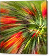 Swirl Of Red Canvas Print