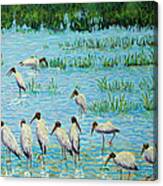 Wood Stork Discussion Group Canvas Print