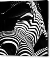 2070-AK B&W Fine Art Nude Woman Zebra Stripes Abstract Print Photograph by Maher 