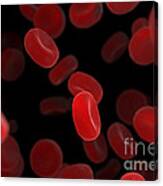 Red Blood Cells #21 Canvas Print