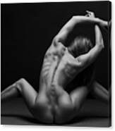 Bodyscape #3 Canvas Print