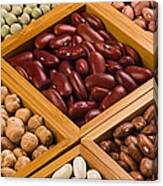 Boxes Of Beans #3 Canvas Print