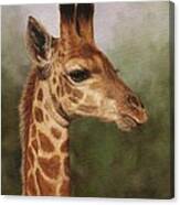 Giraffe #1 Canvas Print