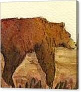 Grizzly Bear #3 Canvas Print