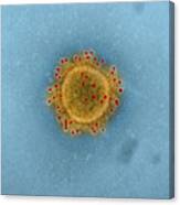 Mers Coronavirus Particles, Tem #3 Canvas Print