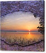 Reelfoot Lake Sunrise #3 Canvas Print