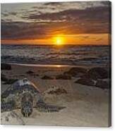 Turtle Beach Sunset Oahu Hawaii #3 Canvas Print