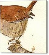 Wren Bird #3 Canvas Print