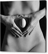 3702 Perfect Egg On Nude Female Torso Canvas Print