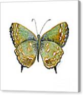 38 Hesseli Butterfly Canvas Print