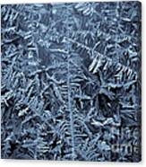3d Frost Canvas Print
