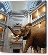 Bull Elephant In Natural History Rotunda #4 Canvas Print