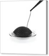 Ferrofluid In A Magnetic Field #4 Canvas Print