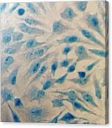 Hela Cells #4 Canvas Print