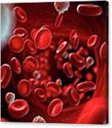 Red And White Blood Cells #4 Canvas Print