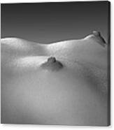 4269 Black White Nude Small Breasts Large Nipples Canvas Print