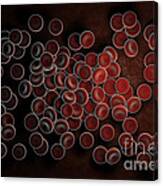 Red Blood Cells #48 Canvas Print